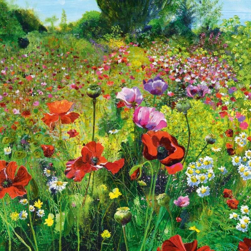 Glorious Poppies Birthday Card