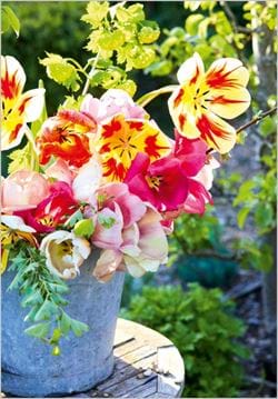 Tulips Birthday Card