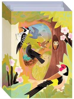British Birds 3D Panoramic Greeting Card