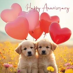 Puppies Anniversary Card