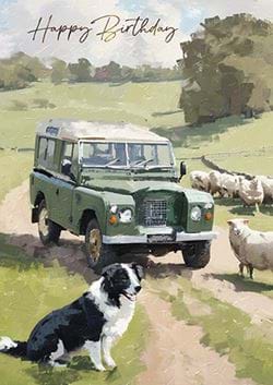 Sheep Dog Birthday Card
