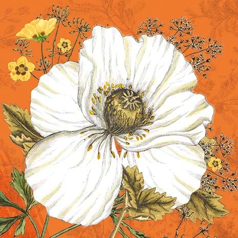 Saffron Bloom Greeting Card