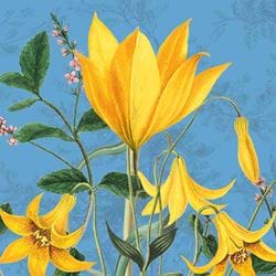 Tuscan Sun Greeting Card