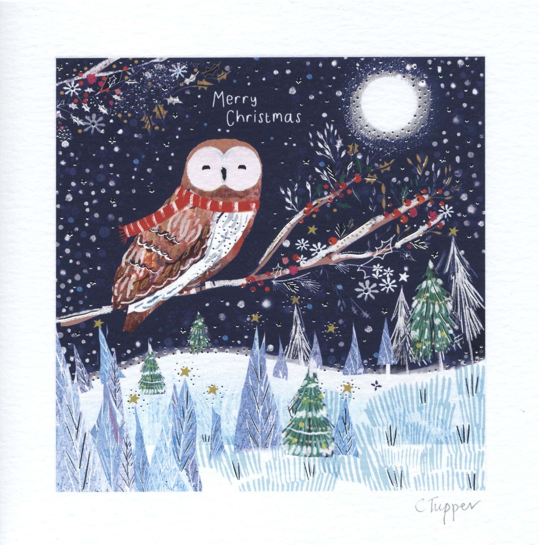 Moonlight Owl Christmas Card