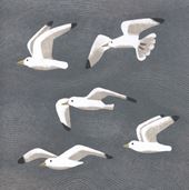 Seagulls Greeting Card