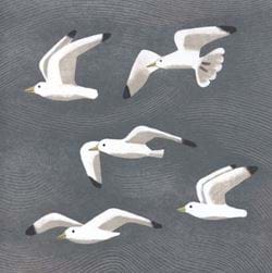 Seagulls Greeting Card