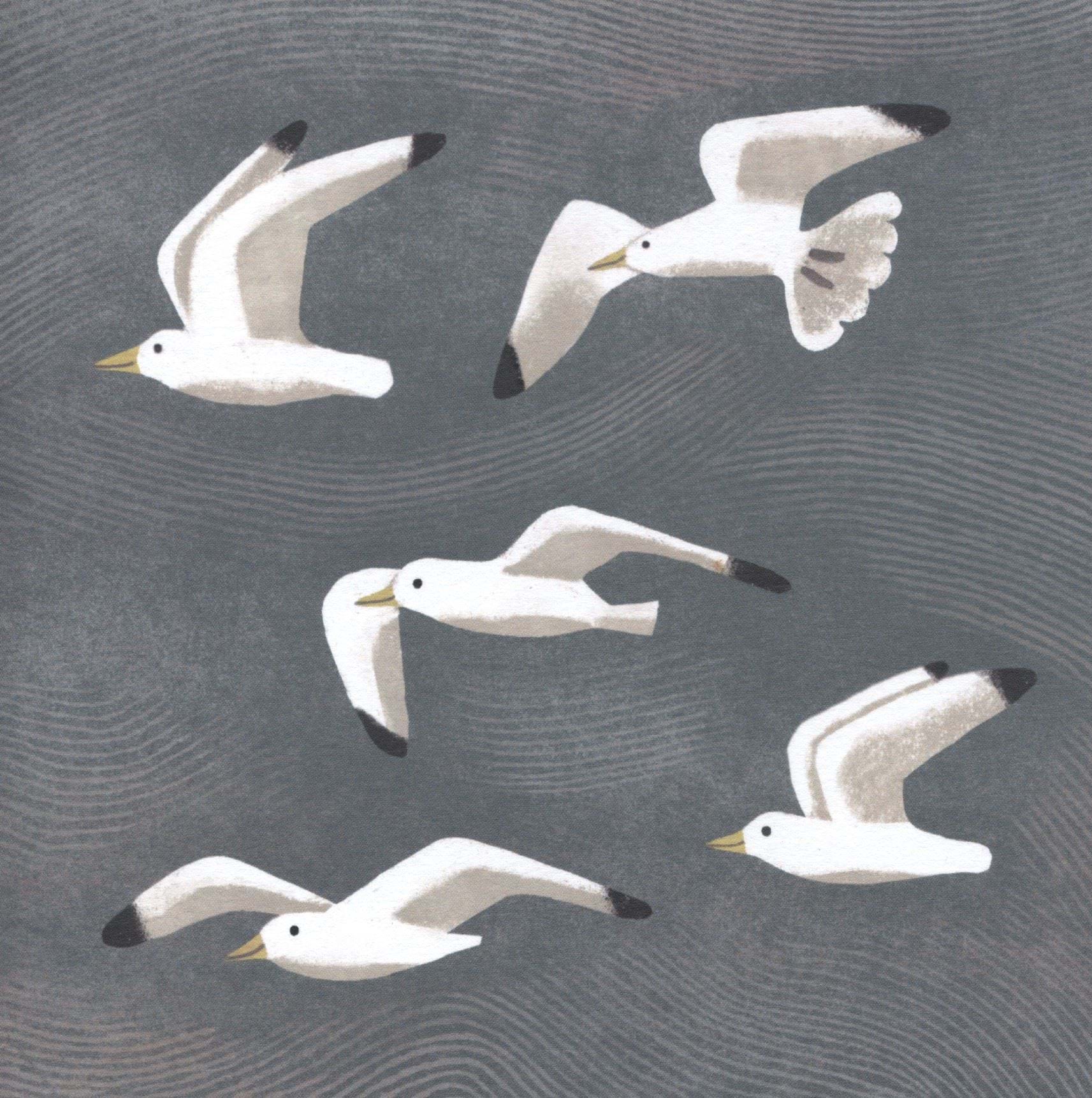 Seagulls Greeting Card