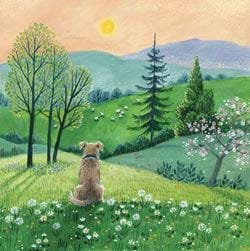 Dog's View Greeting Card