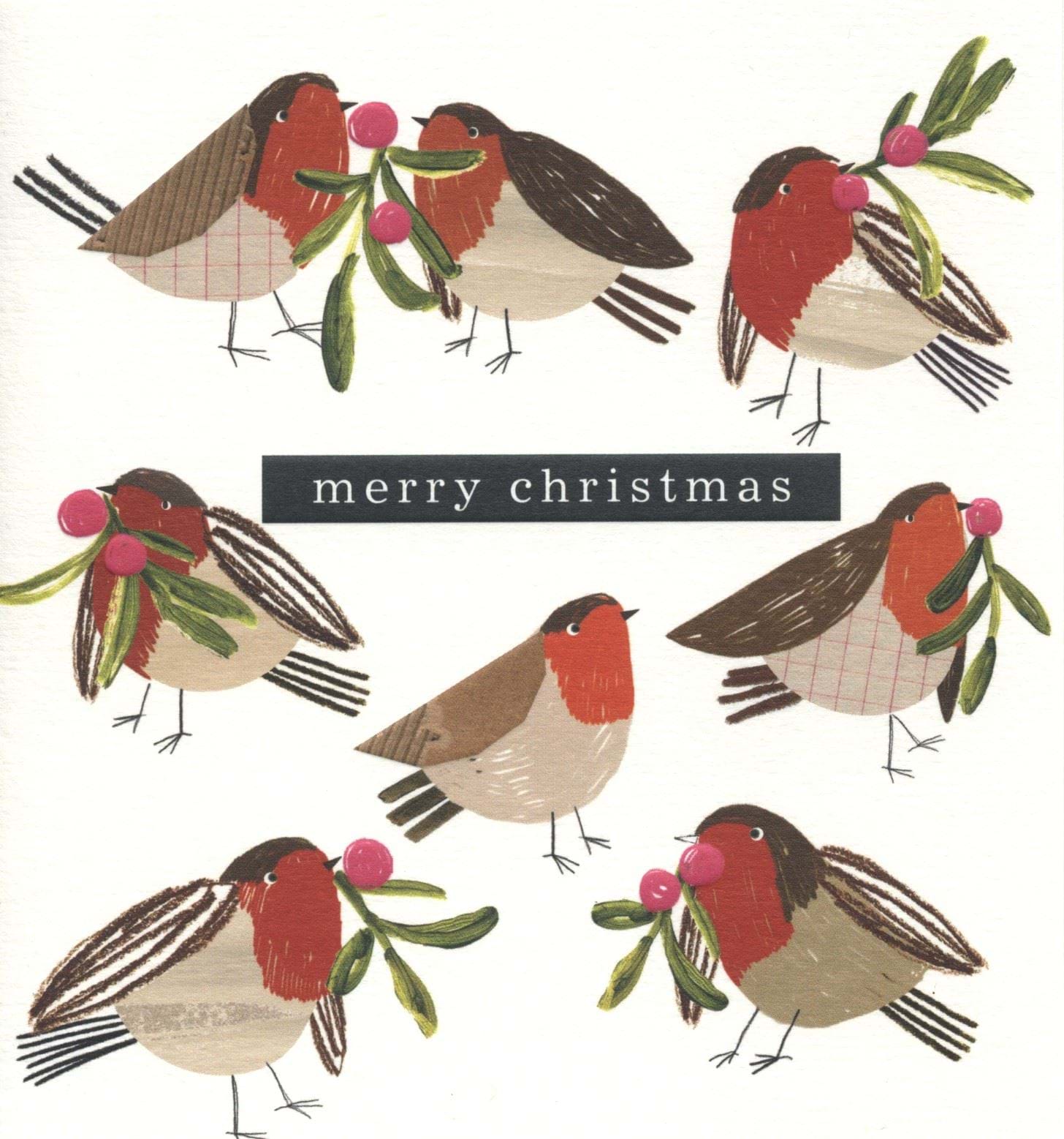 Robins Christmas Card