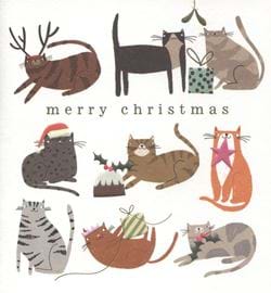 Cats Christmas Card
