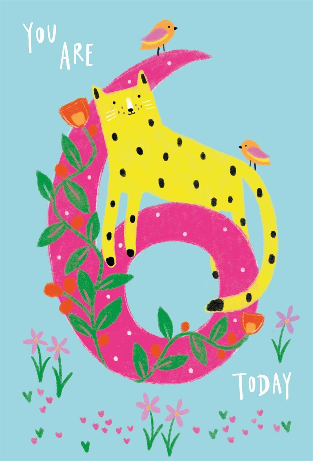 Leopard 6th Birthday Card