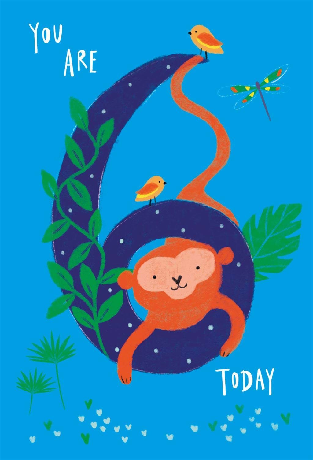 Monkey 6th Birthday Card