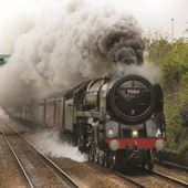 Train Greeting Card