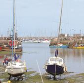 Harbour Greeting Card