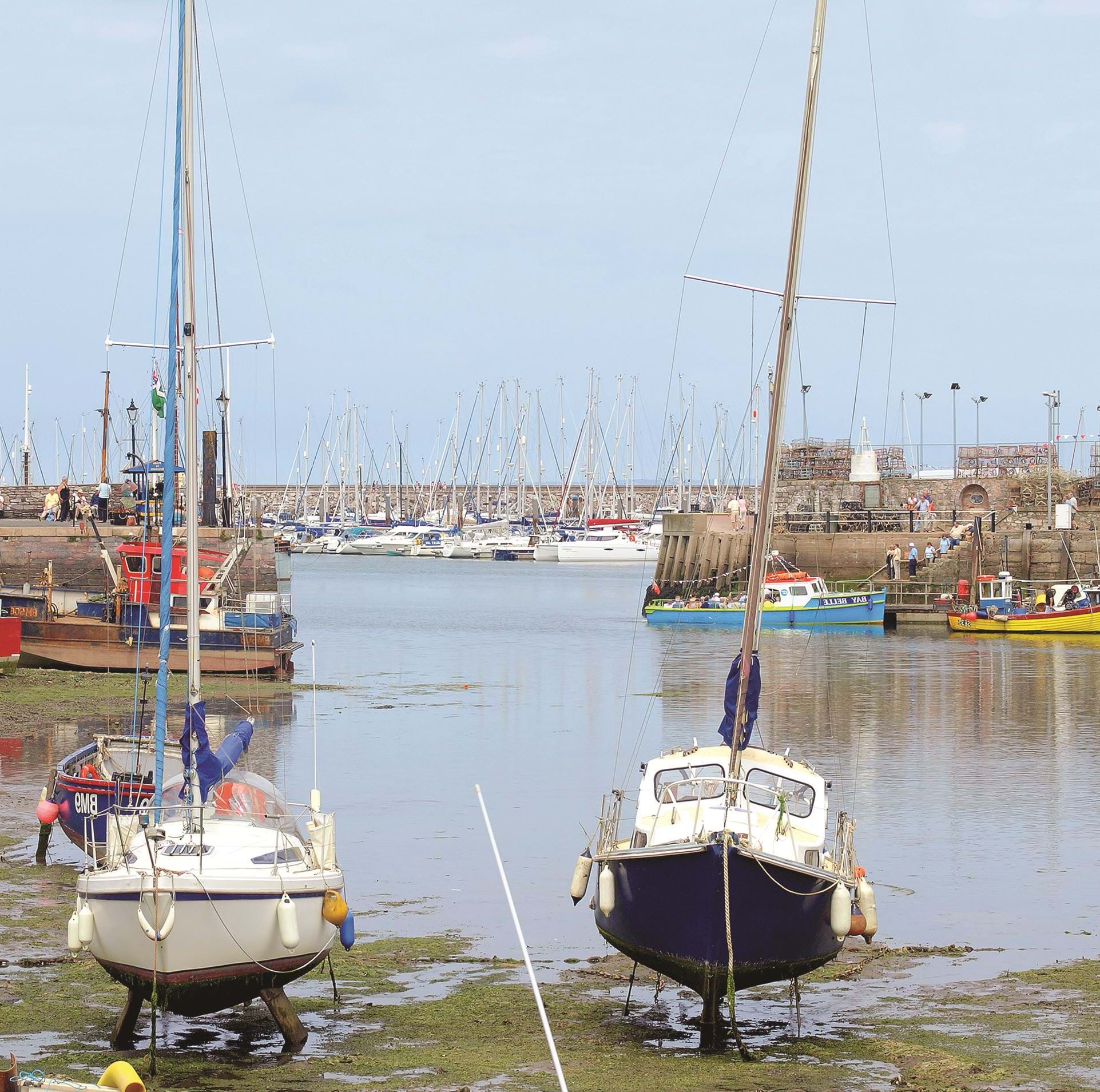 Harbour Greeting Card