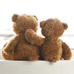 Teddy Bears Greeting Card