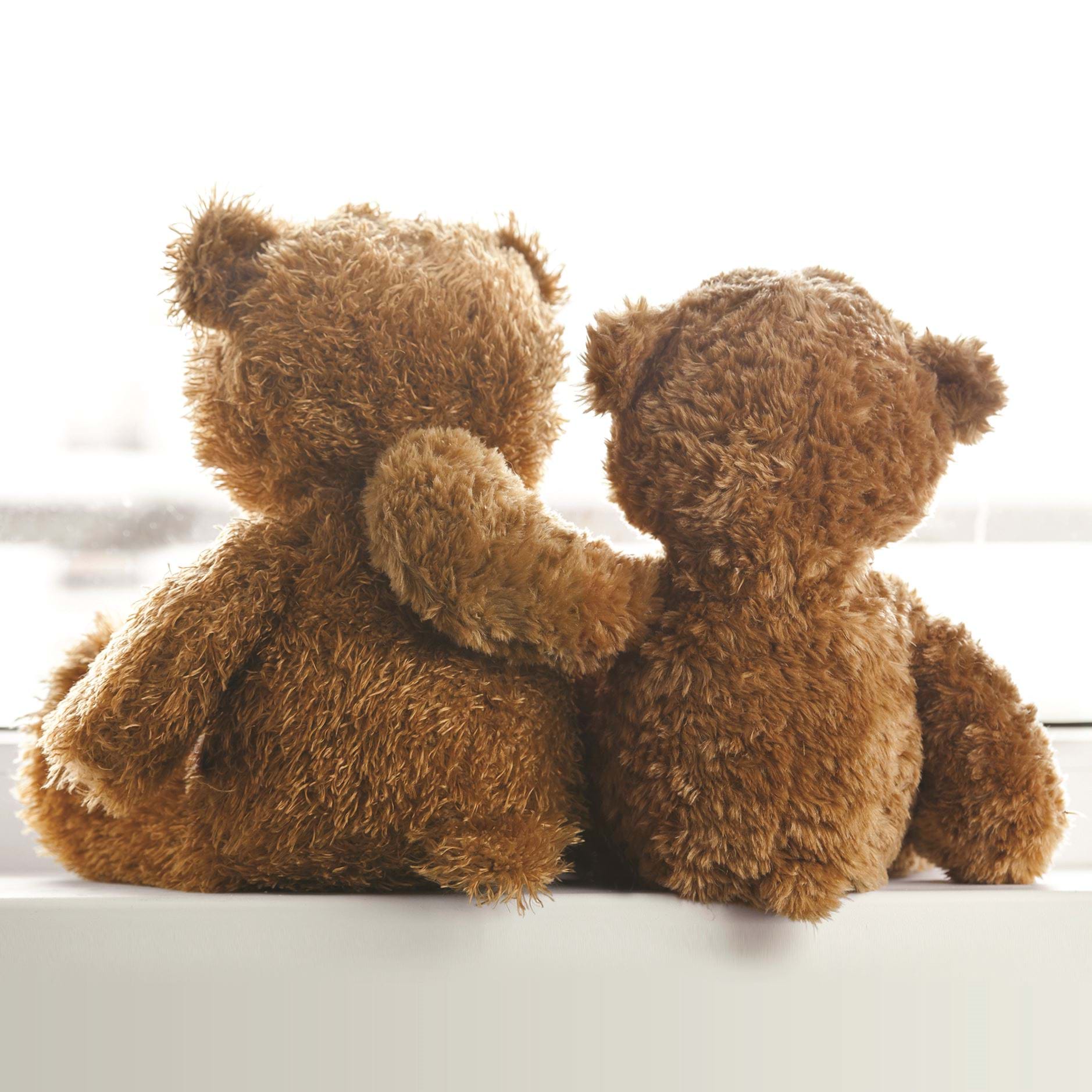 Teddy Bears Greeting Card