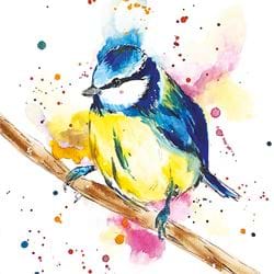 Blue Tit Greeting Card