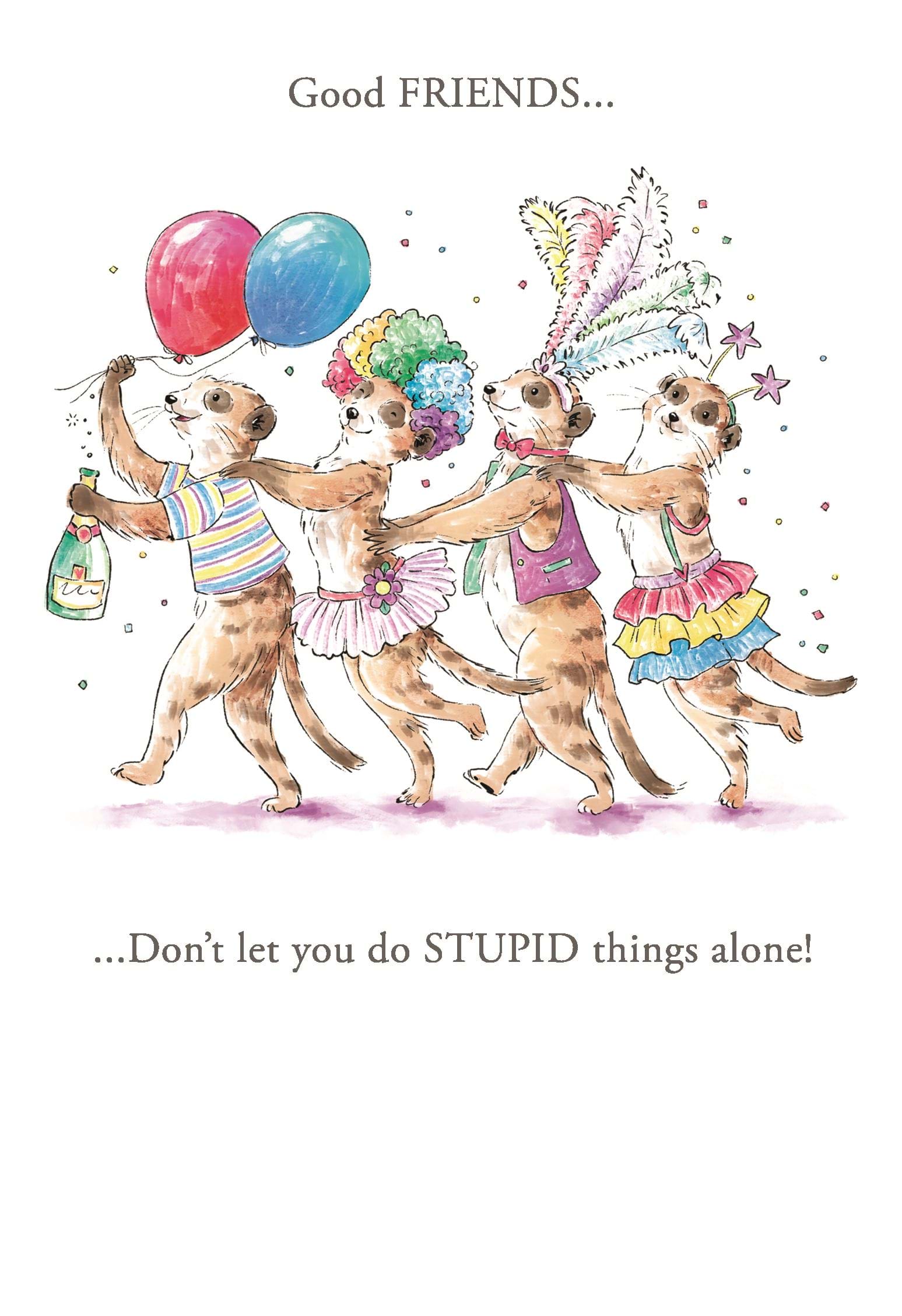 Stupid Things Alone Friend Birthday Card