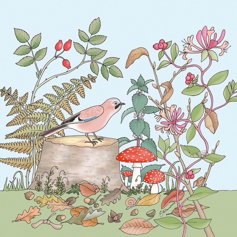 Jay and Honeysuckle Greeting Card