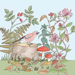 Jay and Honeysuckle Greeting Card
