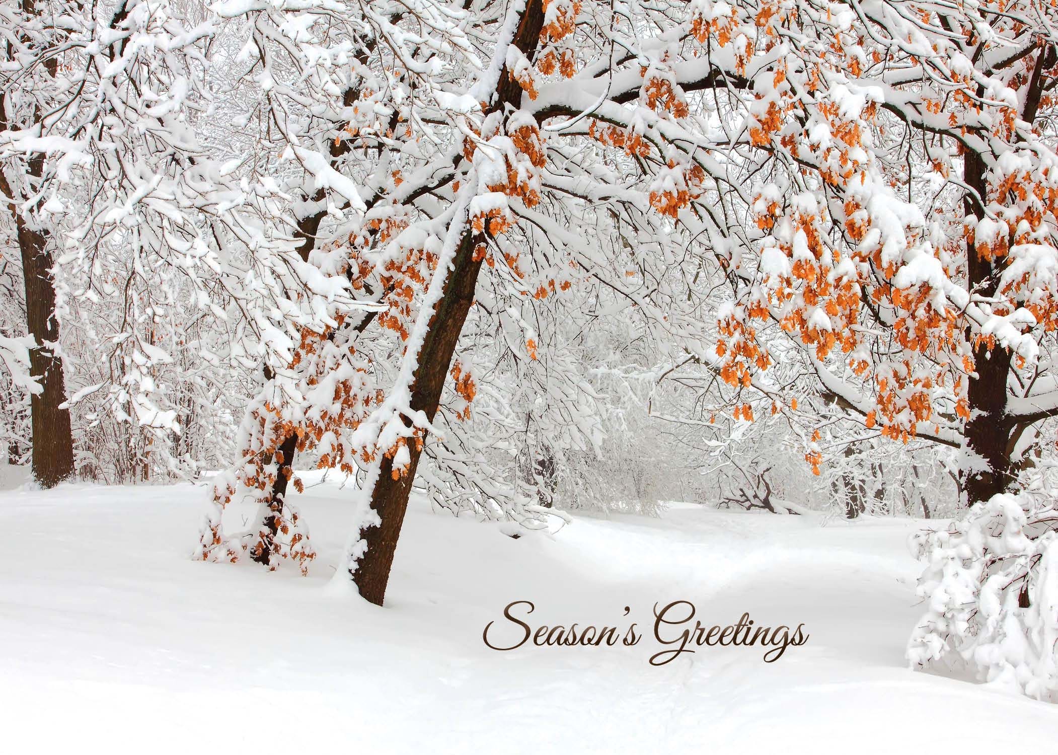 Snowy Branches - Personalised Christmas Card