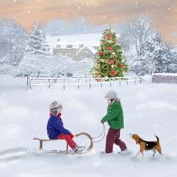 Christmas Sledge, NSPCC Christmas Cards - Pack of 10