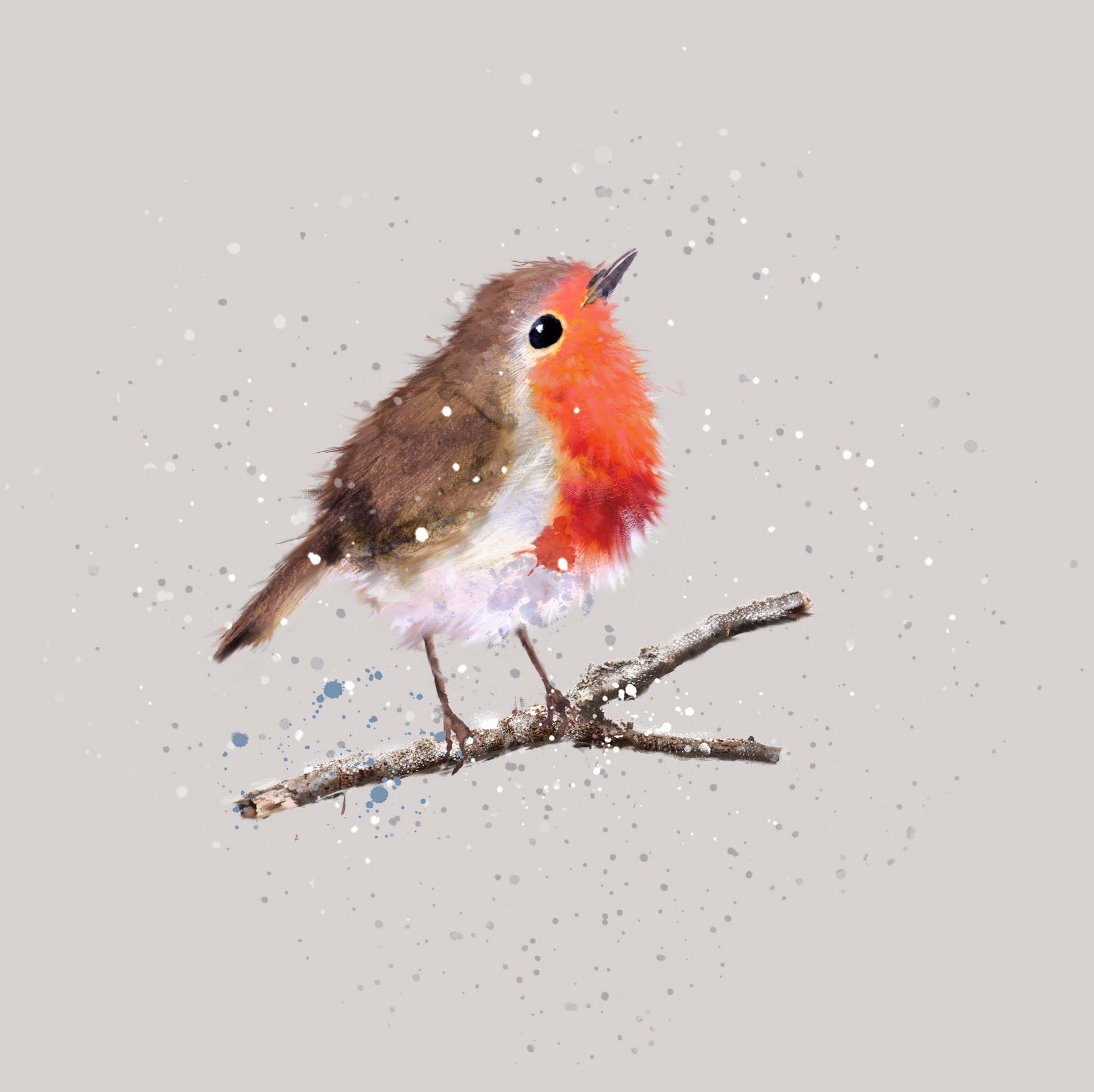 Fluffy Robin - Personalised Christmas Card
