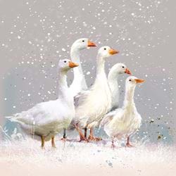 Flock Of Geese - Personalised Christmas Card