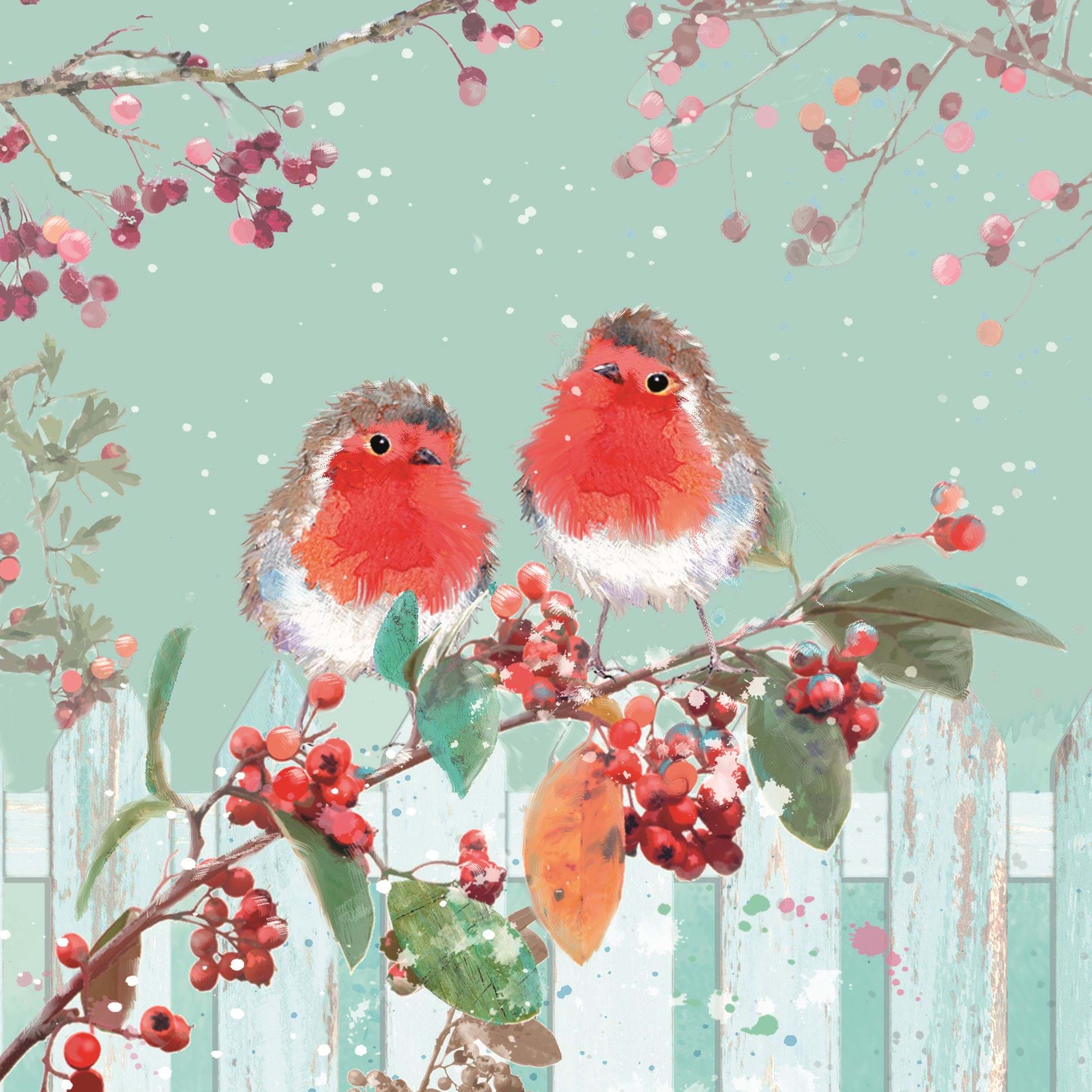 Robin Couple - Personalised Christmas Card