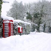 Traditional Red - Personalised Christmas Card