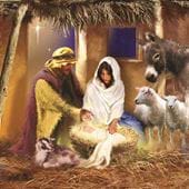 Mary and Joseph, MND Association Christmas Cards - Pack of 10