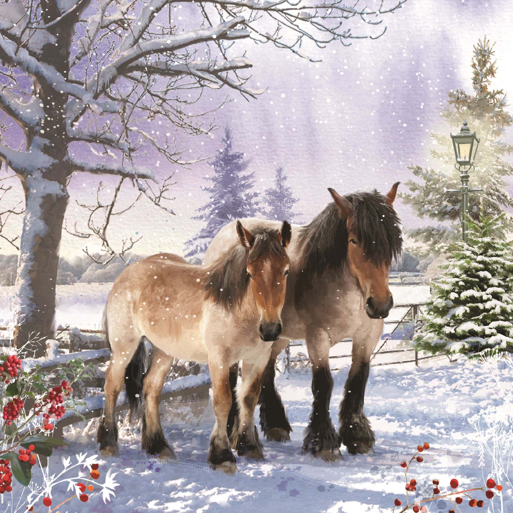 Snowy Paddock, RSPCA Christmas Cards - Pack of 10