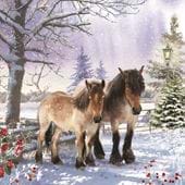 Snowy Paddock, RSPCA Christmas Cards - Pack of 10
