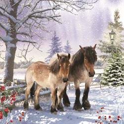 Snowy Paddock, RSPCA Christmas Cards - Pack of 10