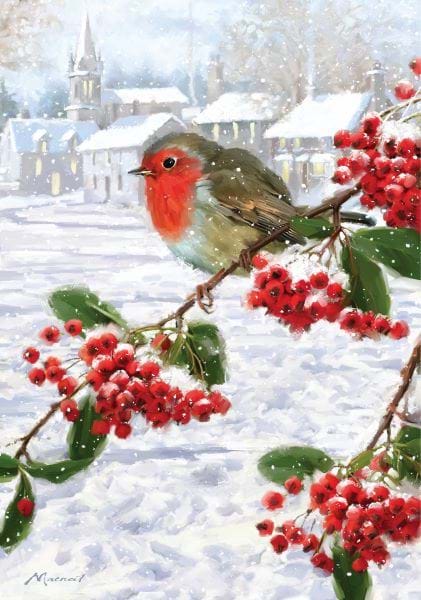 Robin on Berries - Personalised Christmas Card