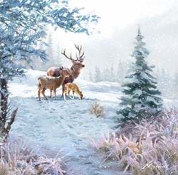 Deer Family - Personalised Christmas Card