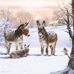 Donkeys in Snow - Personalised Christmas Card
