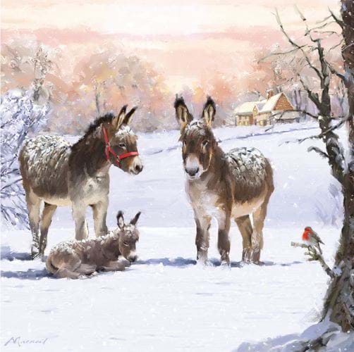 Donkeys in Snow - Personalised Christmas Card
