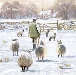 The Shepherd - Personalised Christmas Card