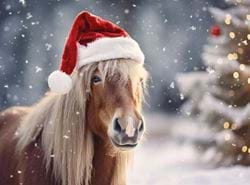 Christmas Spirit - Personalised Christmas Card