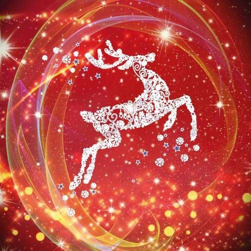 Christmas Reindeer - Personalised Christmas Card
