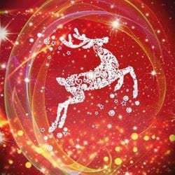 Christmas Reindeer - Personalised Christmas Card