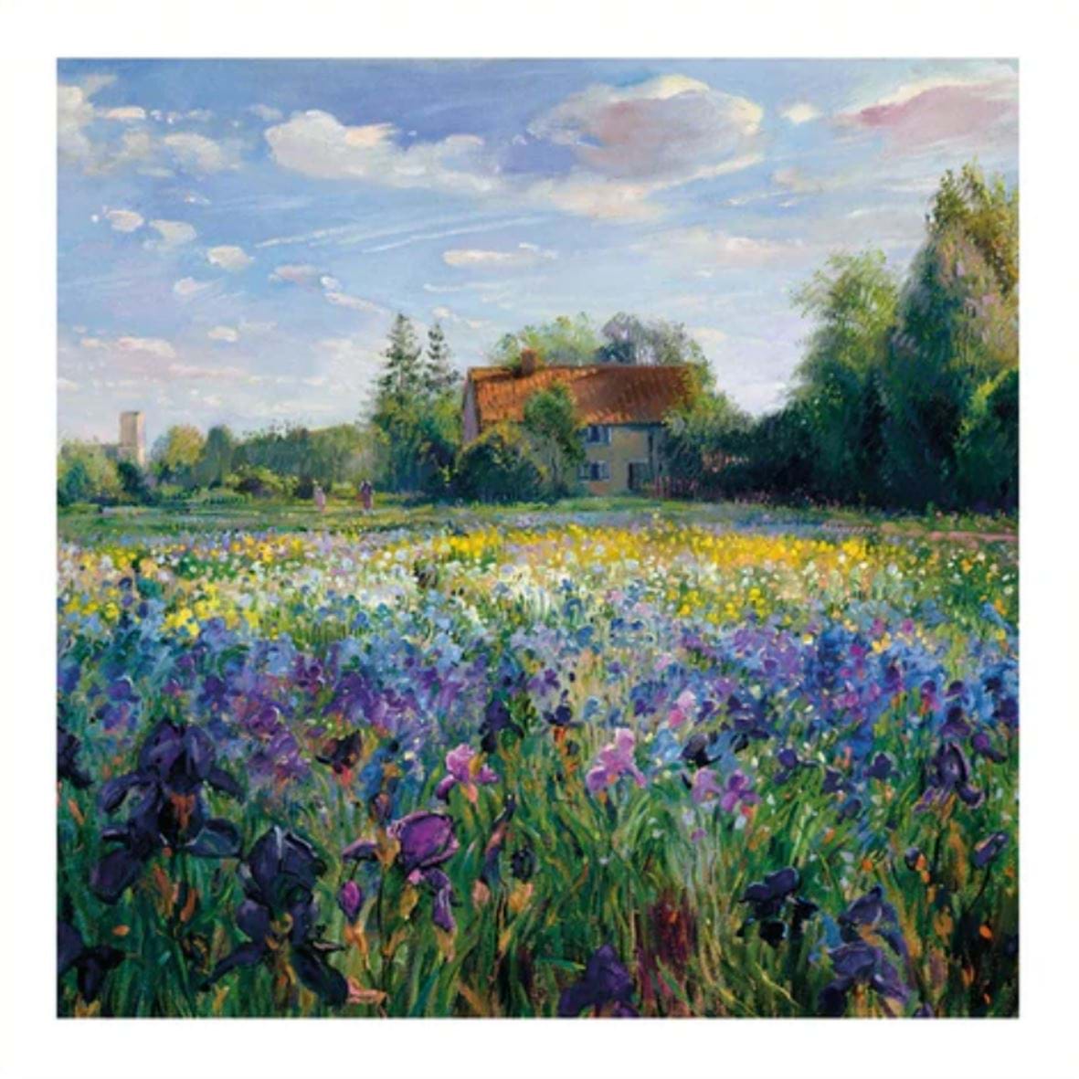Evening At The Iris Field Greeting Card