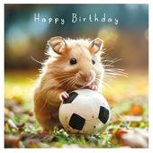 Football Hamster Birthday Card