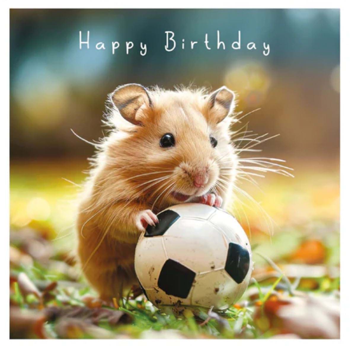 Football Hamster Birthday Card