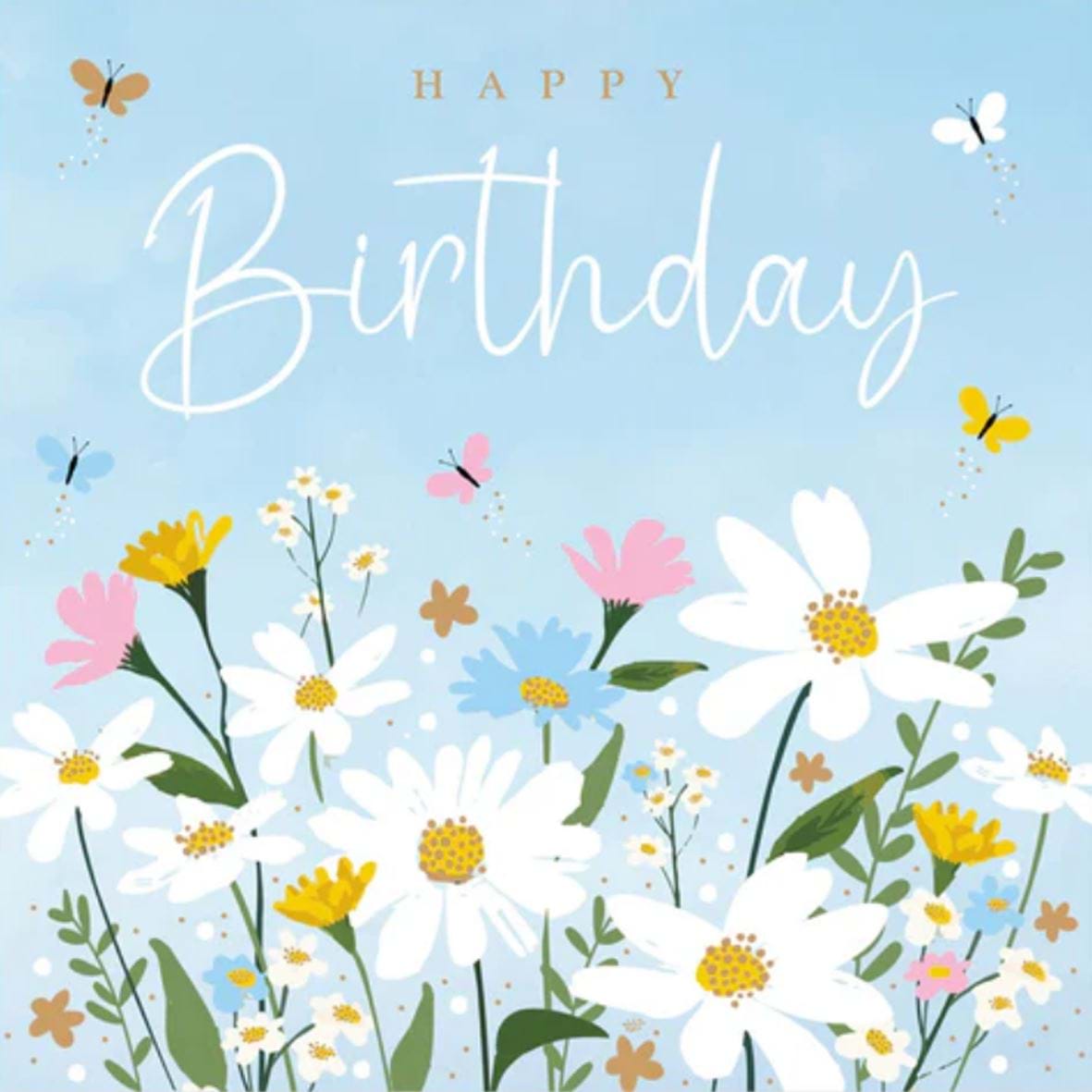 Daisies Birthday Card