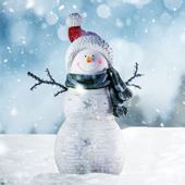 Happy Snowman - Personalised Christmas Card