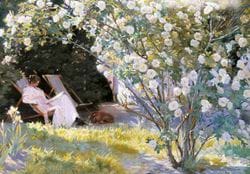 Roses 1893 Greeting Card