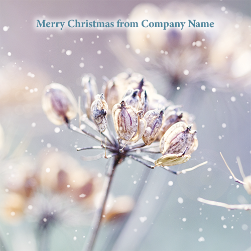 Winter Nature - Front Personalised Christmas Card